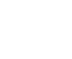 logo voxpro new transparent